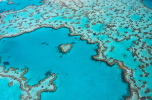 Austrálie Srdeční útes u Velkého bariérového útesu, Whitsundays Queensland