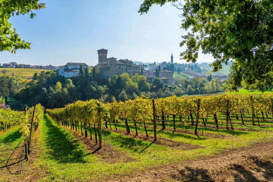 Emilia Romagna Levizzano Rangone a jeho vineyary v podzimní sezóně. Provincie Modena, Emilia Romagna, Itálie.