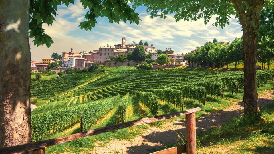 Piemont Vesnice Neive a vinice Langhe, zapsané na seznamu UNESCO, Piemont, severní Itálie Evropa