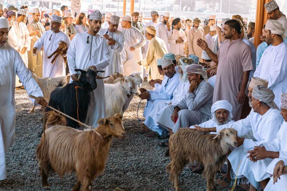kultura Omán Kozí trh Nizwa. Lidé prodávající zvířata. Tradiční bazar v Nizwa, Omán.
