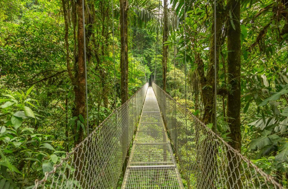 příroda Kostarika Závěsný most v Kostarice