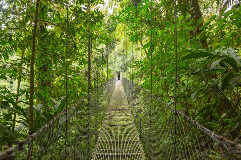 Kostarika Monteverde Závěsné most, Kostarika