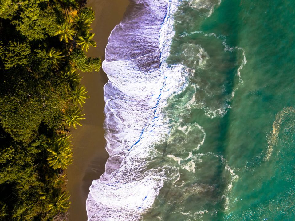 Kostarika Peninsula de Osa Fotografování pomocí dronů. Velkolepá pláž, nazvaná Playa de bahía Drake en Corcovado, s palmami a vlnami. Corcovado, poloostrov Osa, Kostarika.
