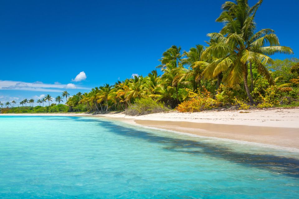 Dominikánská republika Tropický ráj idylická karibská pláž s palmami, Punta Cana