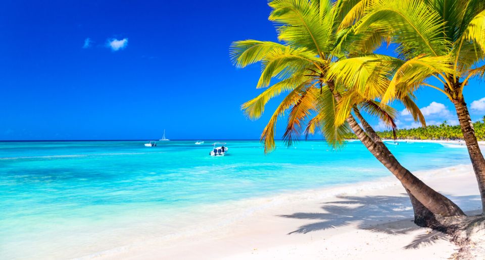 Dominikánská republika Palmy na karibské tropické pláži. Ostrov Saona