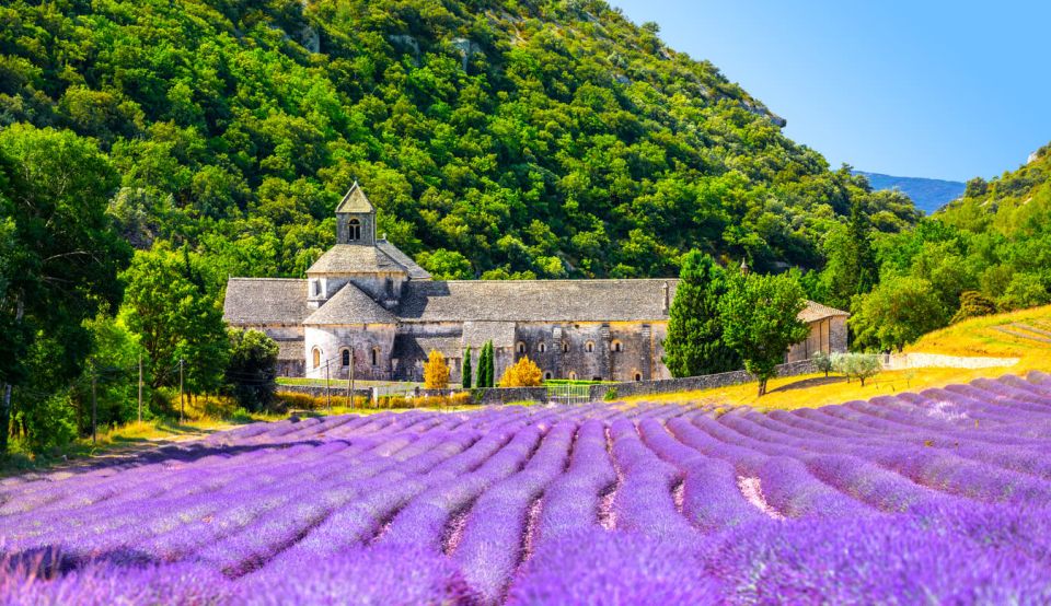Francie Senanque Abbey Gordes Provence Levandulová pole Notre-Dame de Senanque, kvetoucí purpurově modrá levandulová pole Luberon