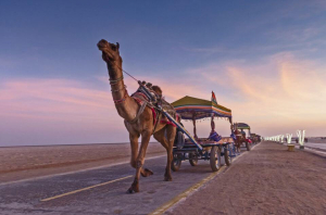 Indie Rann of Kutch