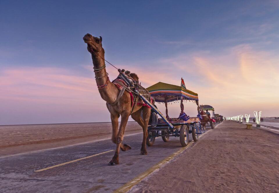 Indie Rann of Kutch